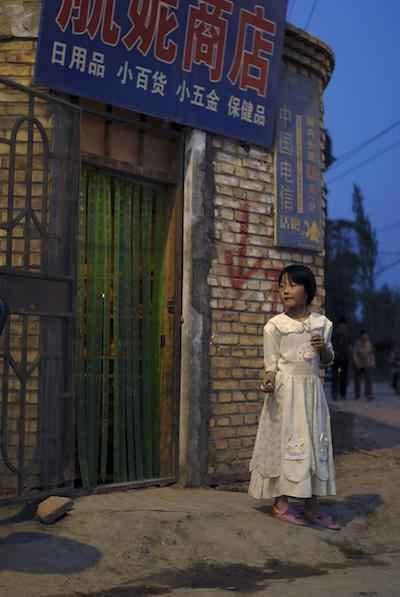 Professor Stephanie Hemelryk Donald