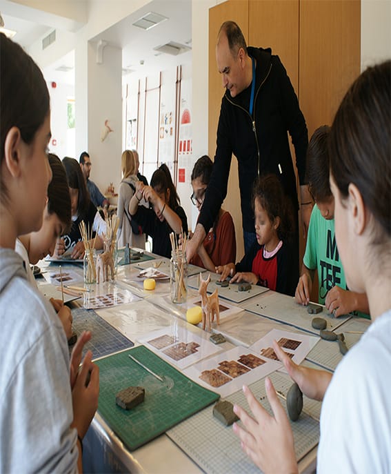 AMH-plathontas me pilo